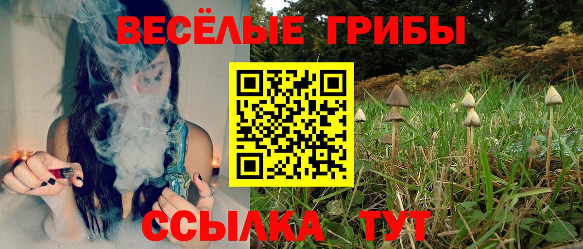 Псилоцибиновые грибы Psilocybine cubensis  Вход с VPN  Галлюциногенные грибы Magic Shrooms  Куйбышев 